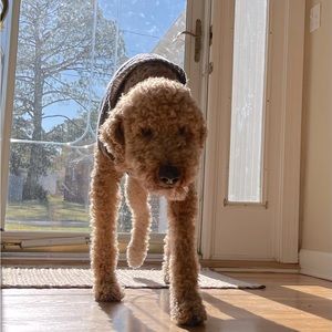 Meet your Posher, Eric